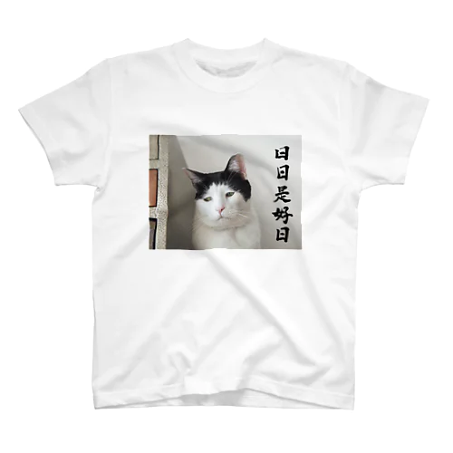 パンチョ日日是好日 スタンダードTシャツ