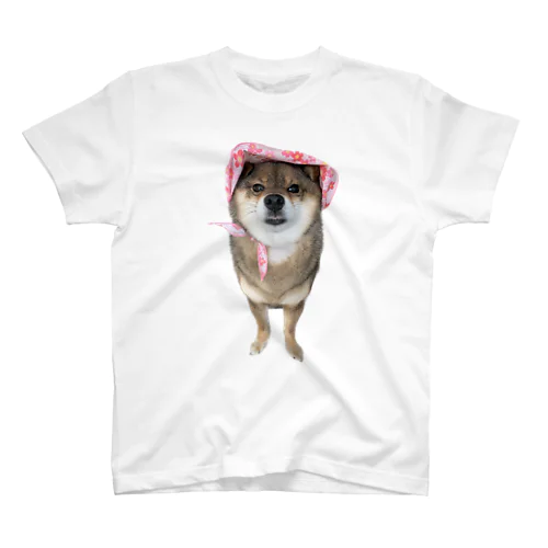 胡麻柴犬ずきんシンプル Regular Fit T-Shirt
