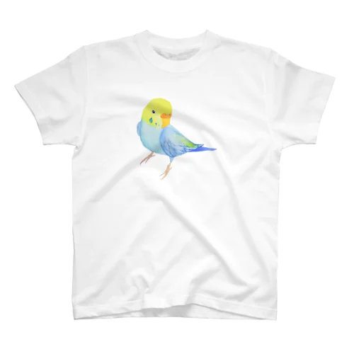 水彩セキセイインコさん スタンダードTシャツ