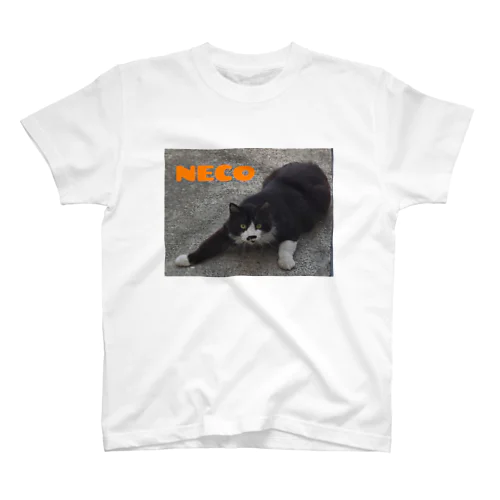 外にいたNECO スタンダードTシャツ