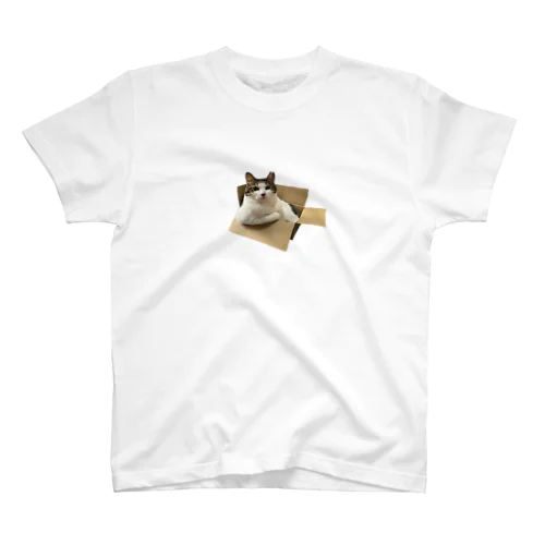 ムキムキ猫ちゃん Regular Fit T-Shirt