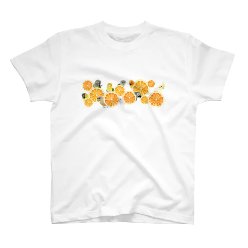 060 Citrus Hide and Seek Regular Fit T-Shirt