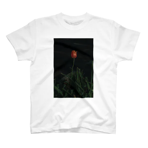 五月の花 スタンダードTシャツ