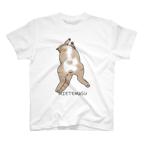 MIETEMASU Regular Fit T-Shirt