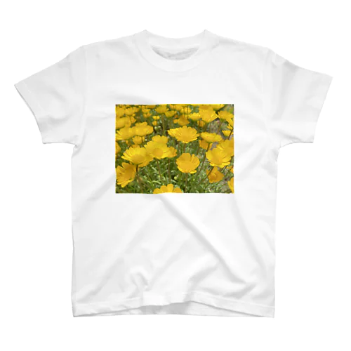 黄色のお花たち スタンダードTシャツ