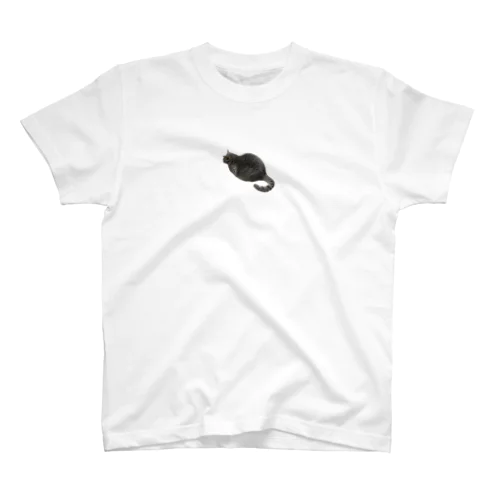 maro1 Regular Fit T-Shirt