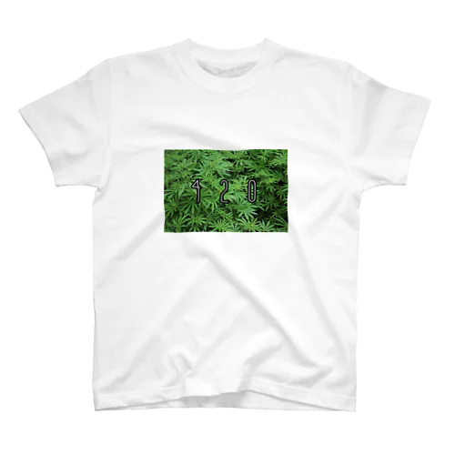 420（大麻） スタンダードTシャツ