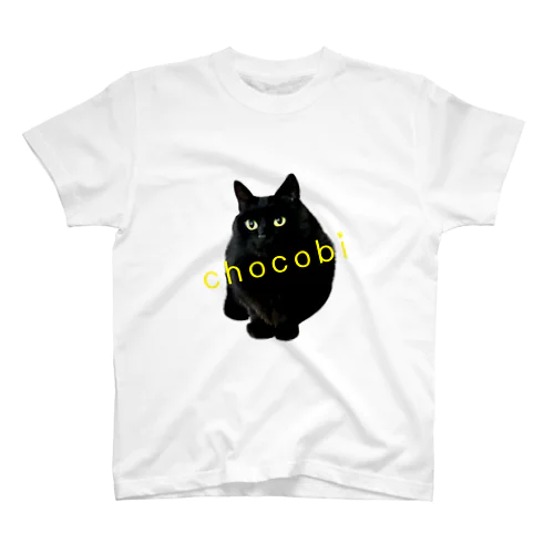 chocobi Regular Fit T-Shirt
