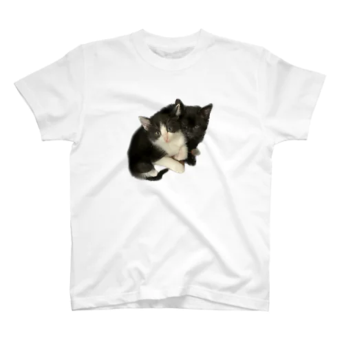 くろandしろくろハチワレ子猫Tシャツ Regular Fit T-Shirt