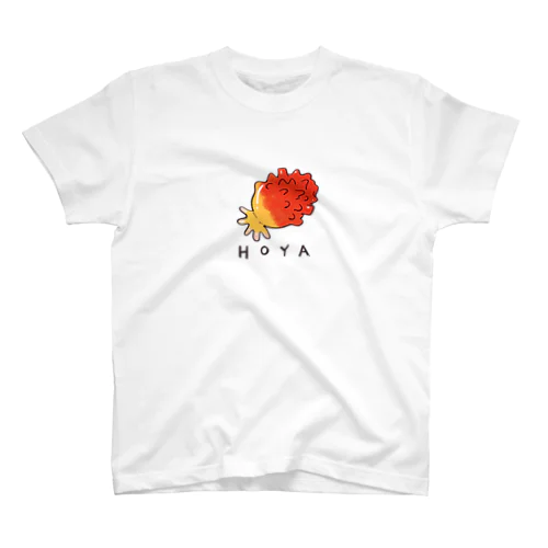 HOYA スタンダードTシャツ