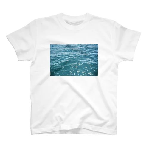 琵琶湖の水面 Regular Fit T-Shirt