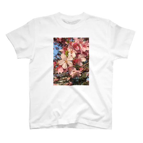 Sakura Regular Fit T-Shirt