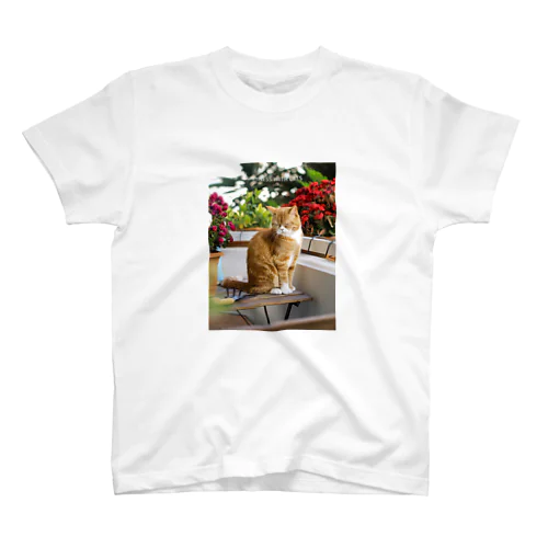 花壇🌺にたたずむ猫ちゃん スタンダードTシャツ