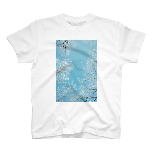 Snow Regular Fit T-Shirt