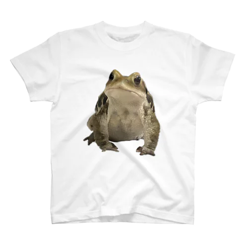 my sweetest toad 2023 ver.A スタンダードTシャツ