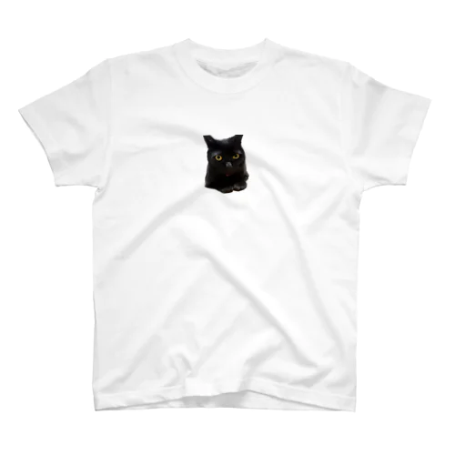 リラックス黒猫 スタンダードTシャツ