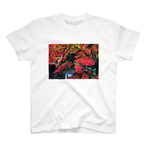 紅葉 スタンダードTシャツ