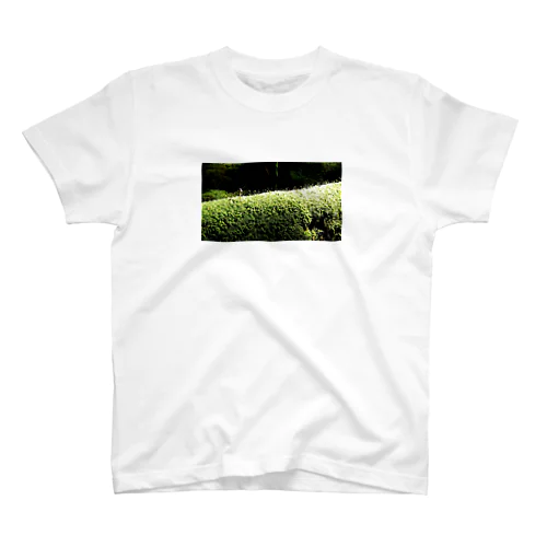 苔苔くん Regular Fit T-Shirt