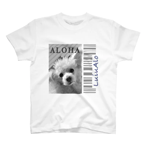 ALOHA Regular Fit T-Shirt