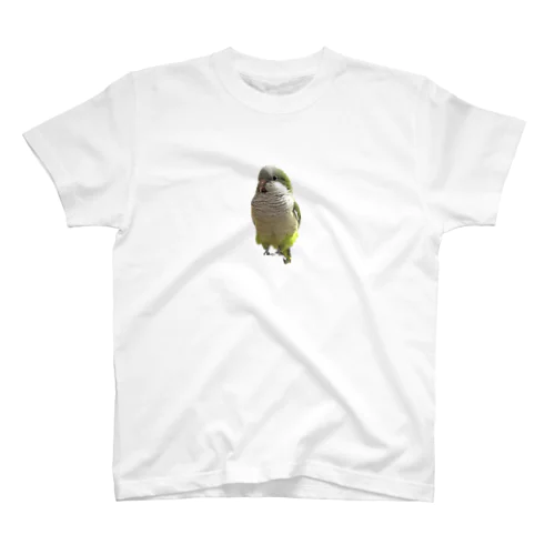 オキナインコのノーマルちゃん Regular Fit T-Shirt