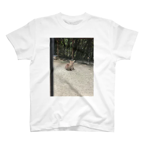 #deer スタンダードTシャツ