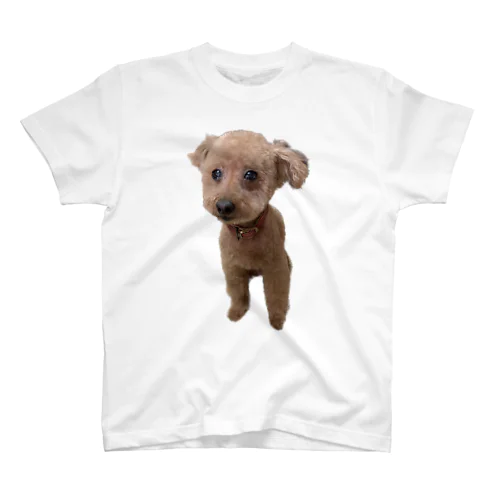 ぴかぴかの犬 スタンダードTシャツ