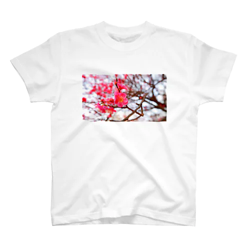 紅梅 スタンダードTシャツ