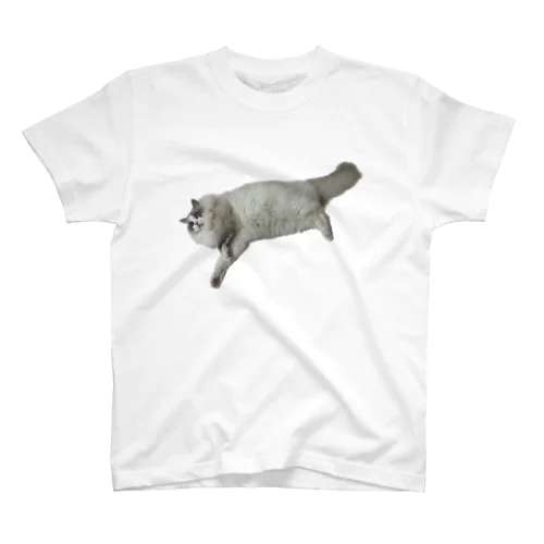 飼い猫のグッズ13 スタンダードTシャツ