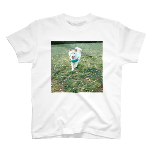 柴犬ラルフ スタンダードTシャツ