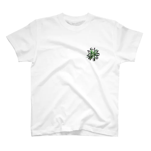 【サークルロゴ】AGLAONEMA TRICOLOR（アグラオネマトリカラー）BLACK Regular Fit T-Shirt