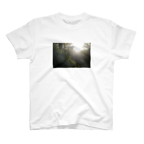 森の朝 Regular Fit T-Shirt