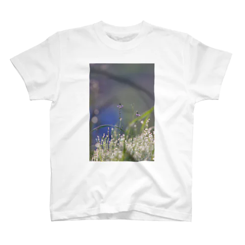 野の花と朝露 スタンダードTシャツ