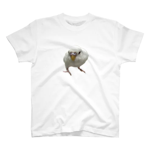 アルビノセキセイインコハクちゃん スタンダードTシャツ