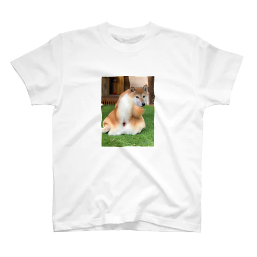 柴犬 スタンダードTシャツ