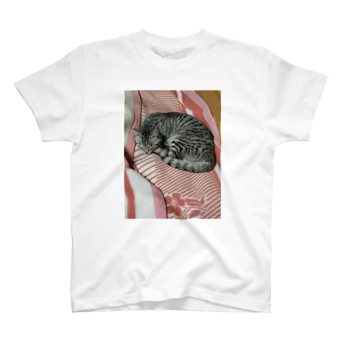 生地猫 Regular Fit T-Shirt