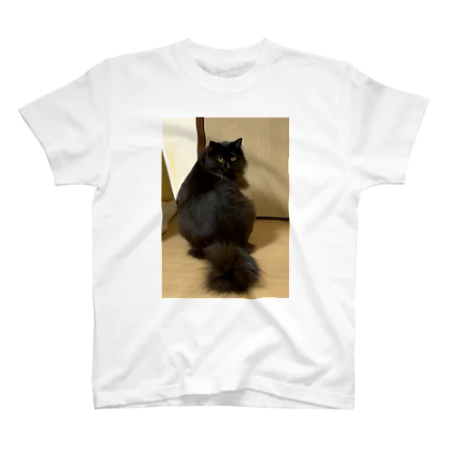 黒猫まおくん❤️ スタンダードTシャツ