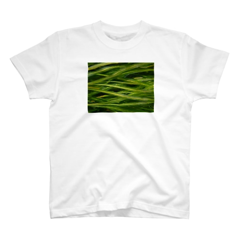 水草:ぽたもげとん Regular Fit T-Shirt