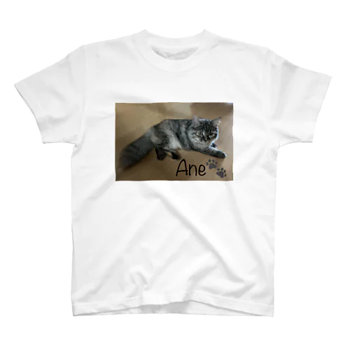 仔猫のあんちゃん🐾 Regular Fit T-Shirt