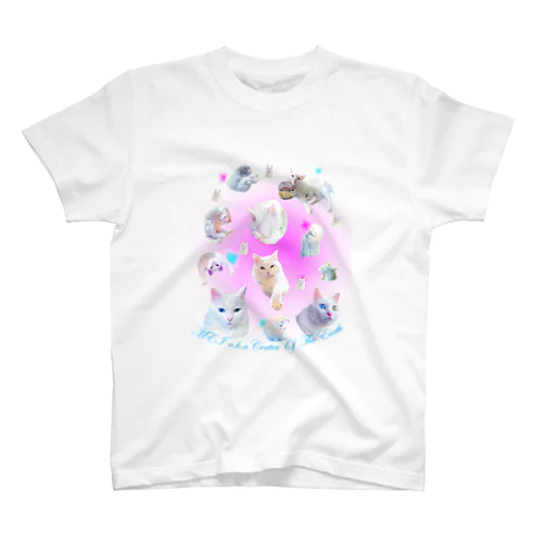 MEI a.k.a Center of the Earth  スタンダードTシャツ