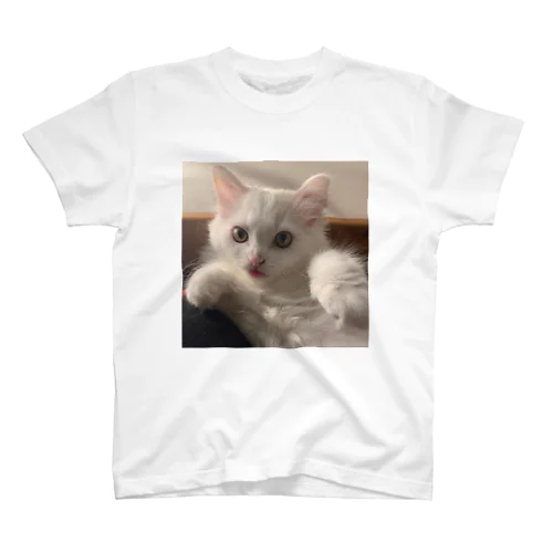 シュシュちゃん🐱 スタンダードTシャツ