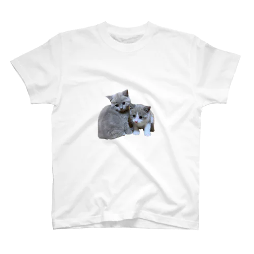 見つめる子猫ちゃん スタンダードTシャツ