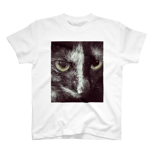 サビ猫シータ Regular Fit T-Shirt