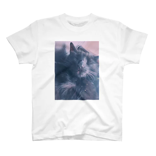 黒猫の寝顔 Regular Fit T-Shirt