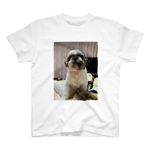 愛犬シーズ Regular Fit T-Shirt