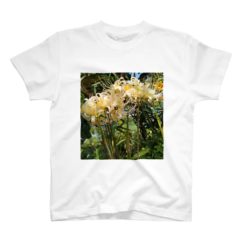 白いひがん花 Regular Fit T-Shirt