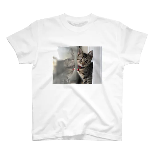 猫の昼下がり スタンダードTシャツ