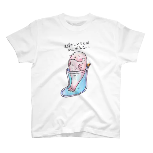 長靴あざらし Regular Fit T-Shirt