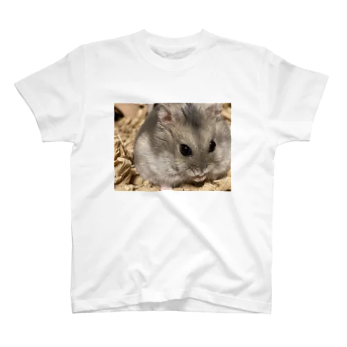 #ミミちゃん🐰 #Mimi  Regular Fit T-Shirt