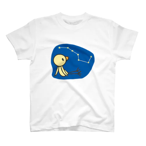 北斗七星がみえるね スタンダードTシャツ