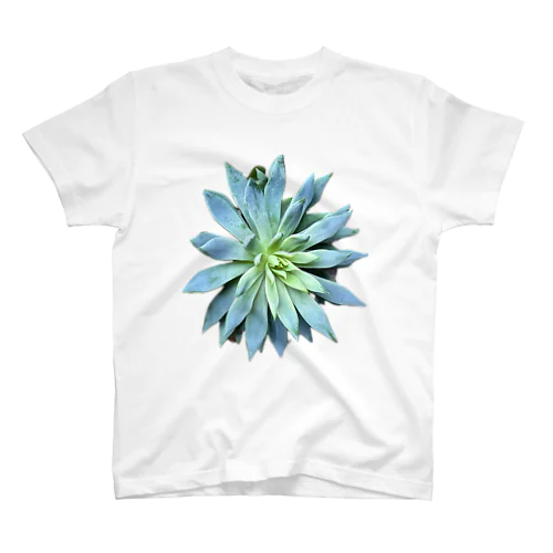 花のような多肉植物 Regular Fit T-Shirt